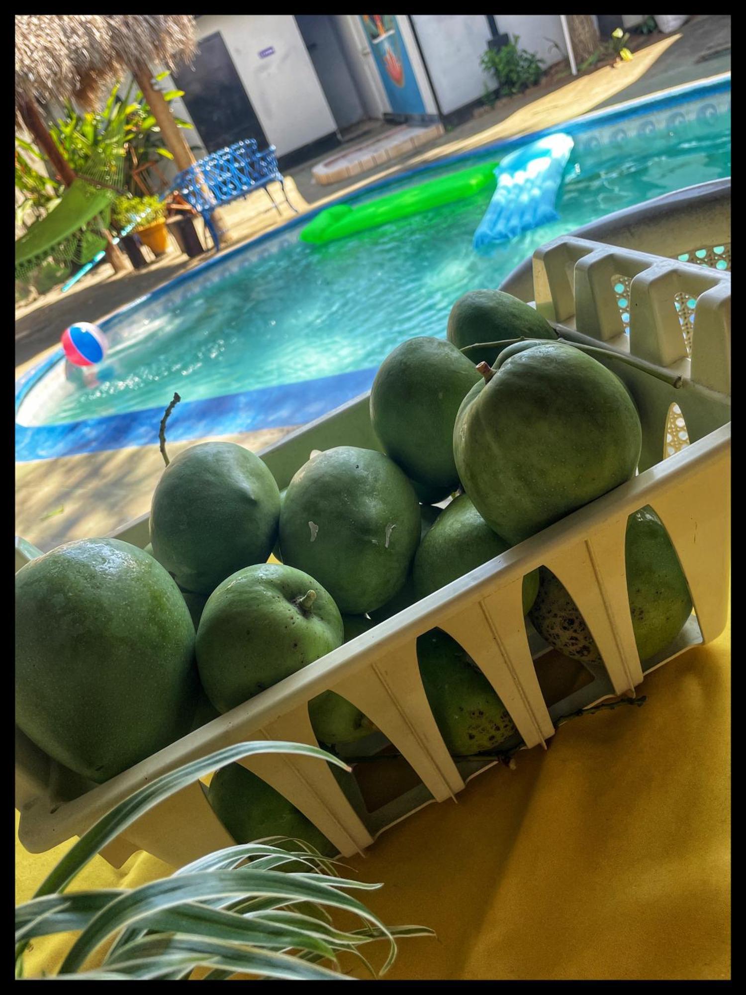 Managua Hotel Oasis Luaran gambar